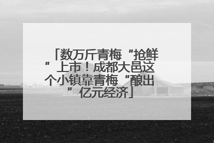 数万斤青梅“抢鲜”上市！成都大邑这个小镇靠青梅“酿出”亿元经济