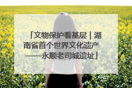 文物保护看基层｜湖南省首个世界文化遗产——永顺老司城遗址
