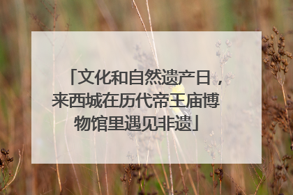 文化和自然遗产日，来西城在历代帝王庙博物馆里遇见非遗
