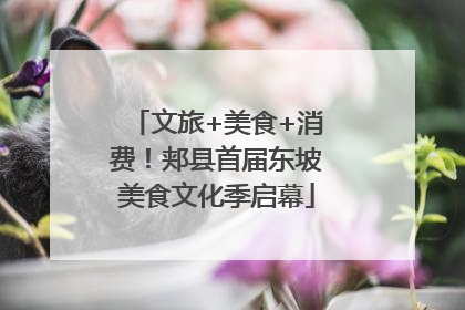 文旅+美食+消费！郏县首届东坡美食文化季启幕