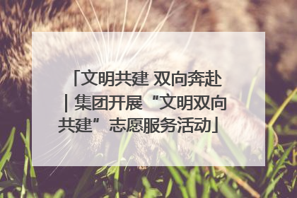 文明共建 双向奔赴｜集团开展“文明双向共建”志愿服务活动