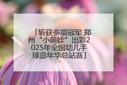斩获多项冠军 郑州“小萌娃”出彩2025年全国幼儿手球嘉年华总站赛