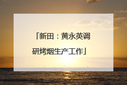 新田：黄永英调研烤烟生产工作