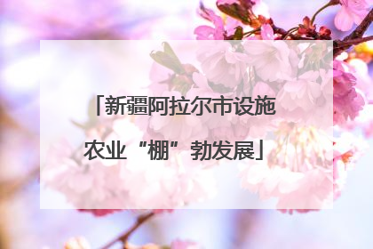 新疆阿拉尔市设施农业“棚”勃发展