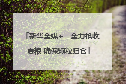 新华全媒+｜全力抢收夏粮 确保颗粒归仓