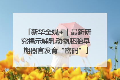 新华全媒+｜最新研究揭示哺乳动物胚胎早期器官发育“密码”