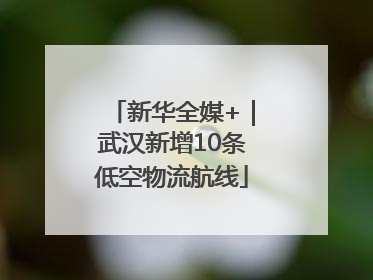 新华全媒+｜武汉新增10条低空物流航线