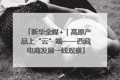 新华全媒+｜高原产品上“云”端——西藏电商发展一线观察