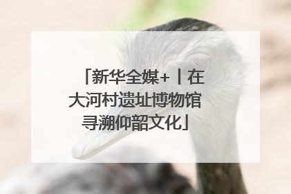 新华全媒+丨在大河村遗址博物馆寻溯仰韶文化