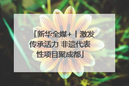 新华全媒+丨激发传承活力 非遗代表性项目聚成都