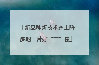新品种新技术齐上阵 多地一片好“丰”景