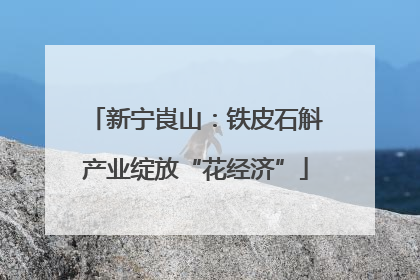 新宁崀山：铁皮石斛产业绽放“花经济”