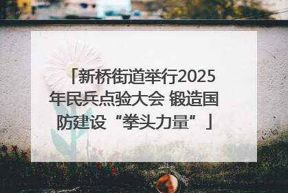 新桥街道举行2025年民兵点验大会 锻造国防建设“拳头力量”