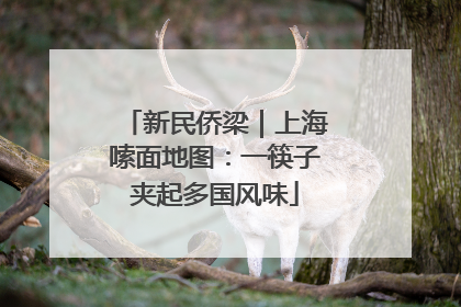 新民侨梁｜上海嗦面地图：一筷子夹起多国风味