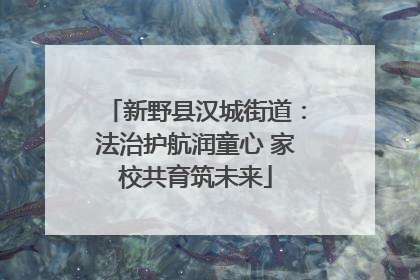 新野县汉城街道：法治护航润童心 家校共育筑未来