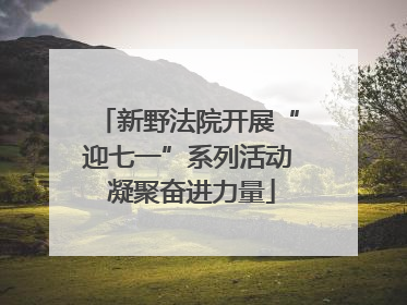 新野法院开展“迎七一”系列活动 凝聚奋进力量