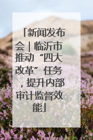 新闻发布会｜临沂市推动“四大改革”任务，提升内部审计监督效能