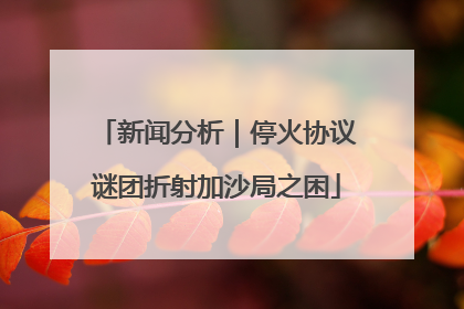 新闻分析｜停火协议谜团折射加沙局之困