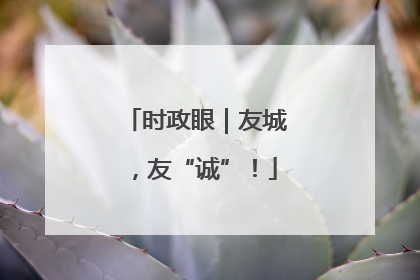 时政眼｜友城，友“诚”！