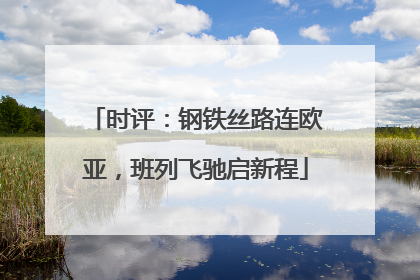 时评：钢铁丝路连欧亚，班列飞驰启新程