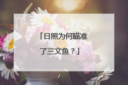日照为何瞄准了三文鱼？