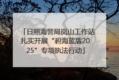 日照海警局岚山工作站扎实开展“碧海蓝盾2025”专项执法行动