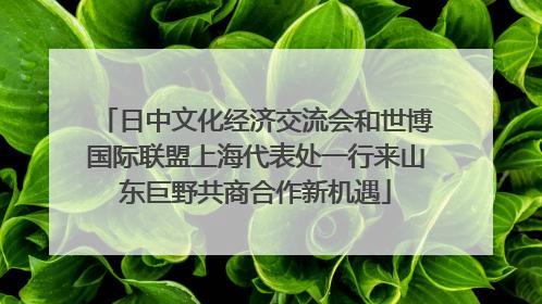 日中文化经济交流会和世博国际联盟上海代表处一行来山东巨野共商合作新机遇
