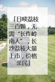 日啖荔枝三百颗，无需“长作岭南人”，长沙荔枝大量上市，价格亲民