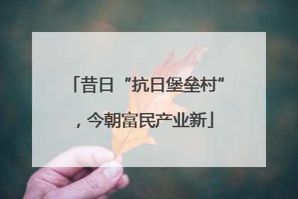 昔日“抗日堡垒村”，今朝富民产业新