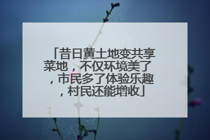 昔日黄土地变共享菜地，不仅环境美了，市民多了体验乐趣，村民还能增收