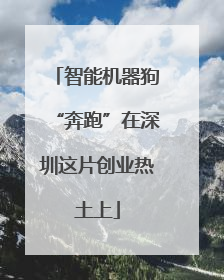 智能机器狗“奔跑”在深圳这片创业热土上