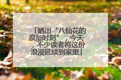 晒出“八仙花的浪漫时刻”，今天，不少读者将这份浪漫延续到家里