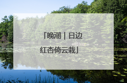 晚潮｜日边红杏倚云栽