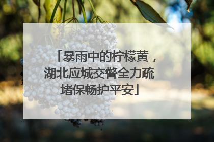 暴雨中的柠檬黄，湖北应城交警全力疏堵保畅护平安