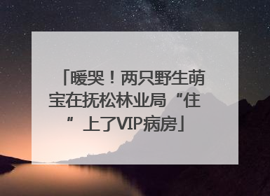 暖哭！两只野生萌宝在抚松林业局“住”上了VIP病房