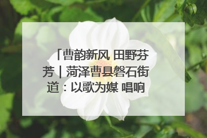 曹韵新风 田野芬芳｜菏泽曹县磐石街道：以歌为媒 唱响乡土“新歌声”