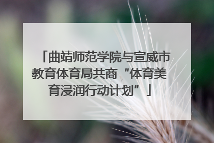 曲靖师范学院与宣威市教育体育局共商“体育美育浸润行动计划”