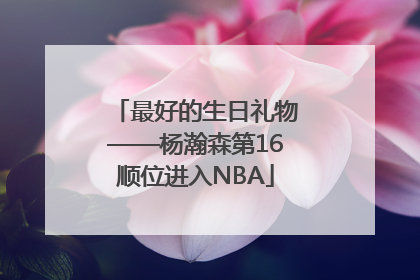 最好的生日礼物——杨瀚森第16顺位进入NBA