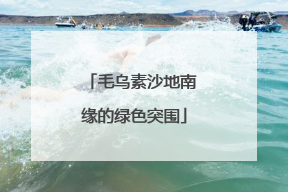 毛乌素沙地南缘的绿色突围
