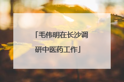 毛伟明在长沙调研中医药工作