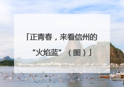 正青春，来看信州的“火焰蓝”（图）