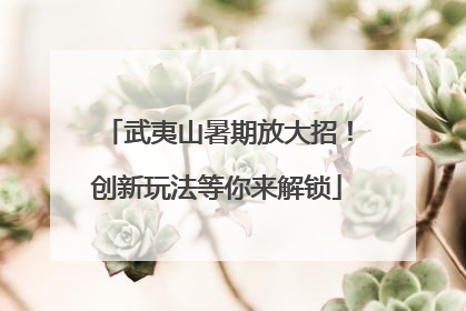 武夷山暑期放大招！创新玩法等你来解锁
