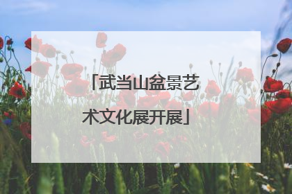 武当山盆景艺术文化展开展