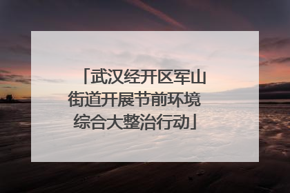 武汉经开区军山街道开展节前环境综合大整治行动