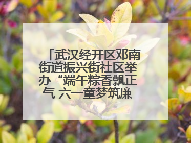 武汉经开区邓南街道振兴街社区举办“端午粽香飘正气 六一童梦筑廉心” 主题活动