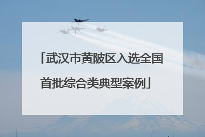 武汉市黄陂区入选全国首批综合类典型案例