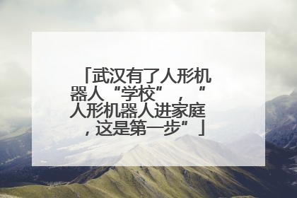 武汉有了人形机器人“学校”，“人形机器人进家庭，这是第一步”