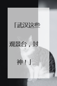武汉这些观景台，封神！