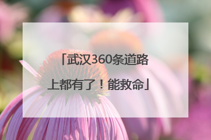 武汉360条道路上都有了！能救命