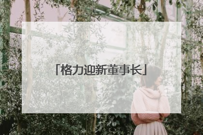 格力迎新董事长